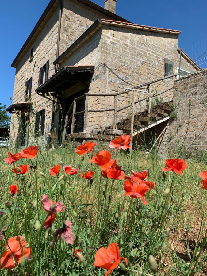 Casa Di Monica Villa Torre San Severo ภายนอก รูปภาพ