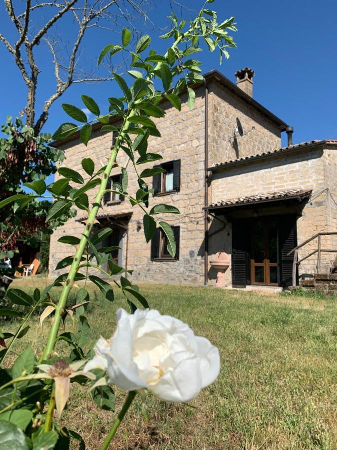 Casa Di Monica Villa Torre San Severo ภายนอก รูปภาพ